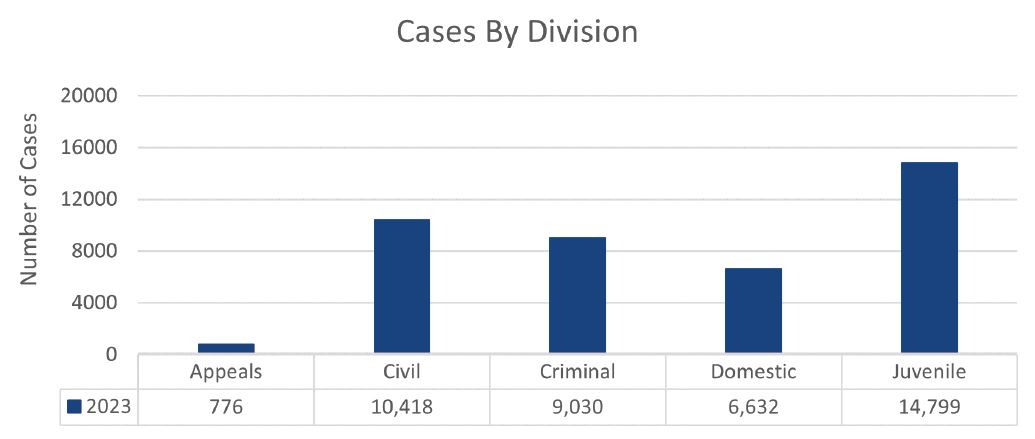 Cases By Division